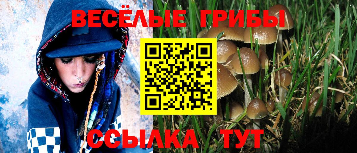 Галлюциногенные грибы прущие грибы  Вход с VPN  Гагарин 