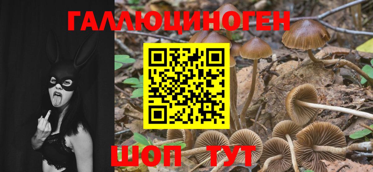 Галлюциногенные грибы мицелий Гагарин